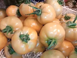 633-tomates-bio-biocoop-le-brivet.webp